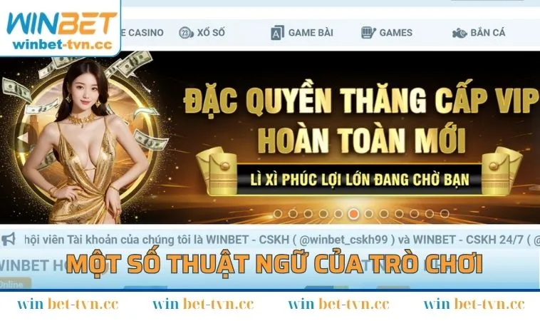 Một số thuật ngữ của trò chơi