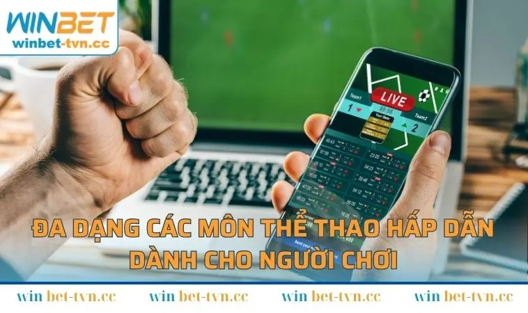 Đa dạng các môn thể thao hấp dẫn dành cho người chơi