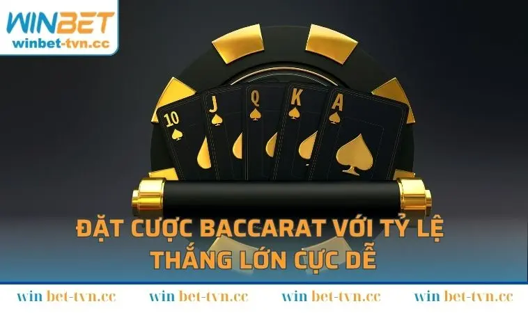 Đặt cược Baccarat với tỷ lệ thắng lớn cực dễ